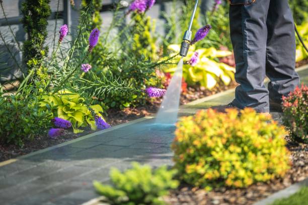 Best Parking Lot Cleaning in White Bear Lake, MN