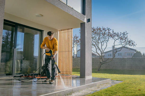 Best Roof Cleaning and Mildew Removal in White Bear Lake, MN