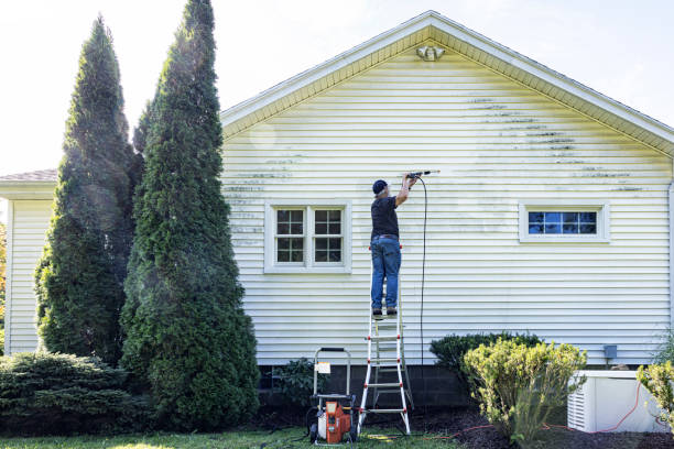 Best Soft Washing for Delicate Surfaces in White Bear Lake, MN